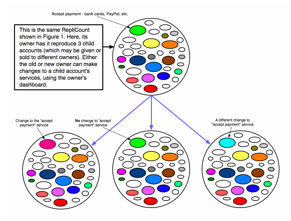 Diagram of a typical RepliCount, with 6 potential services, which are described in the text below.